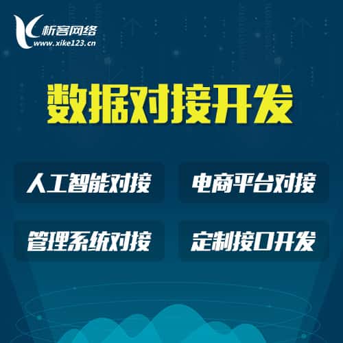 龙岩智能数据对接