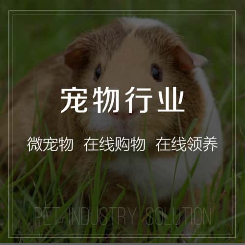 龙岩宠物