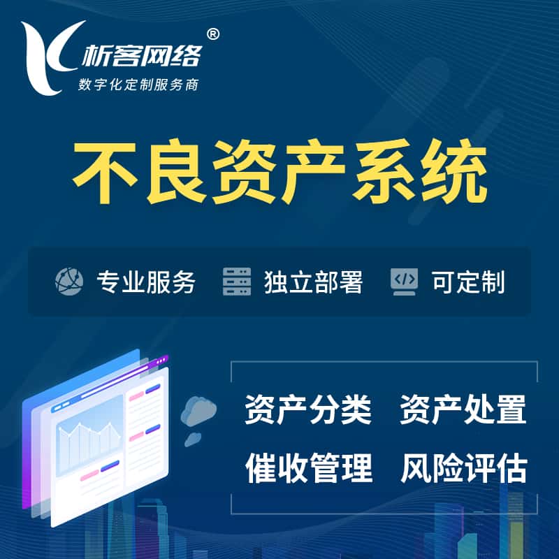龙岩不良资产管理系统