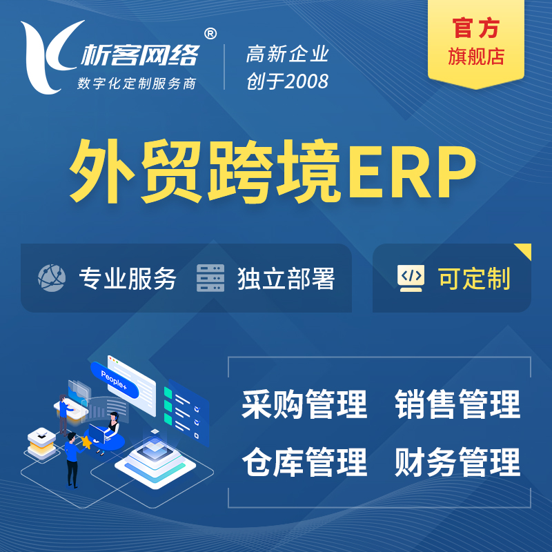 龙岩外贸跨境ERP软件生产海外仓ERP管理系统
